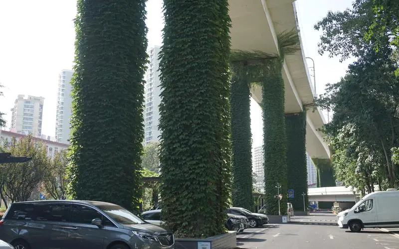 衡水市边坡绿化工程