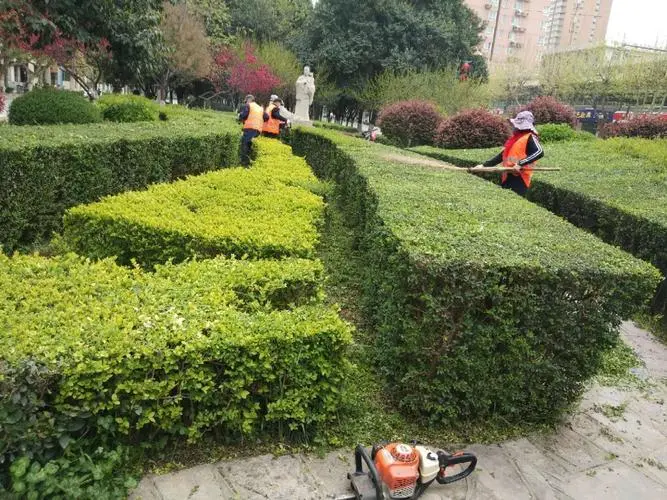 江苏市政园林绿化工程承包商