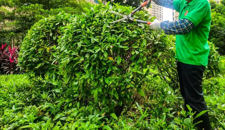 武汉万联园林绿化工程怎么样