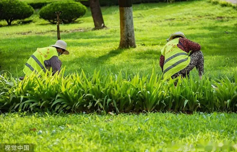 现代花园园林景观设计